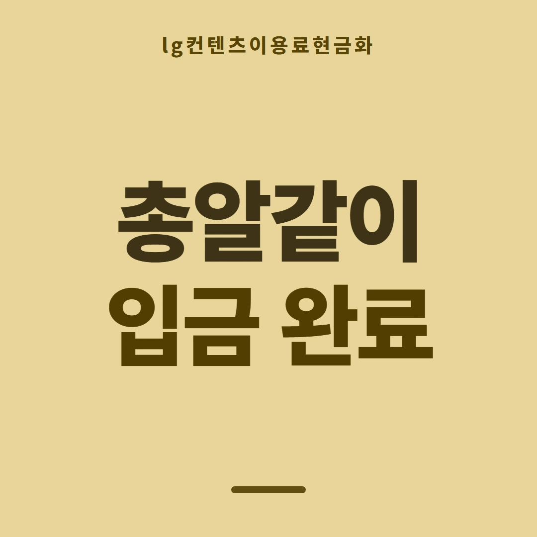 품티켓 LG 콘텐츠이용료 회선별 안내 대조 안내 이미지
